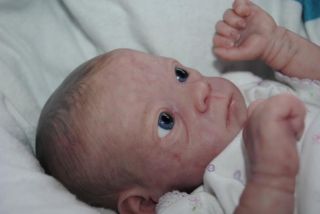 Bonnie Brown Meredith Reborn Baby Girl Painted Hair L E
