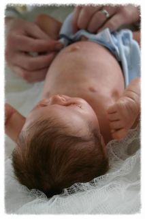 Reborn Dolls by Design Anatomic Reborn Baby Boy Oliver Julien by Elisa Marx