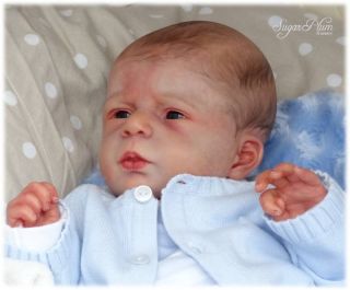 Sugar Plum Nursery Reborn Baby Boy Doll Angel by Olga Auer Ultra Realism