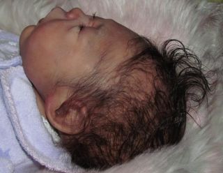 Reborn Baby Girl Preemie Willow Connor AA Ethnic Biracial Long Sold Out Le 300