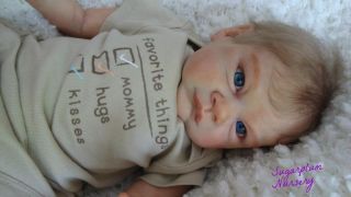 Sugarplum Nursery Lifelike Reborn Baby Boy Doll by Liz Campbell 