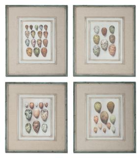 Wall Art s 4 Decorative Oil Paintings Framed Home Kitchen Decor Study of Eggs