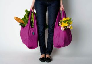 Baggu Bags Shopping Tote Eco Friendly Pouch Reusable