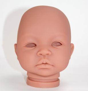 Reborn Baby Shyann Biracial Doll Kit by Aleina Peterson 1426