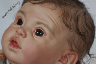 Reborn Doll Baby Toddler Boy Limited Edition New Release Graysen Andrea Arcello
