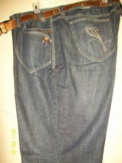 Lane Bryant Plus Size Embellished Denim Jeans 26 Belt