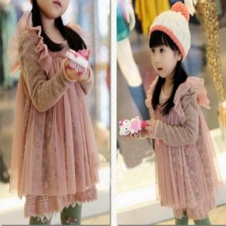 Toddlers Kids Girls Princess Clothing Knit and Tulle Dress Tops Long 2 7 Y