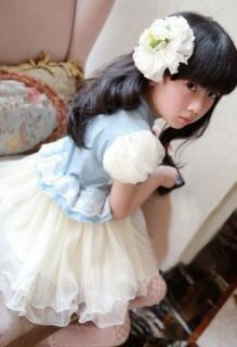 Baby Girls Kids Denim Blue Pegeant Flower Lace Tutu Princess Dress 3 7Y Clothing