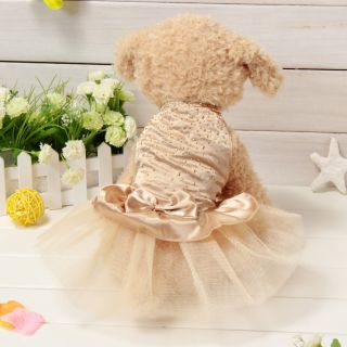 Cute Champagne Lace Small Pet Dog Cat Clothes Dress Size XS s M L Jumpsuit New