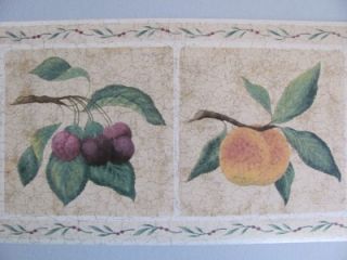 Crackle Fruit Tuscan Style Country Theme Kitchen Prepasted Wallpaper Wall Border