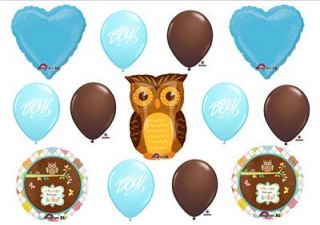 Owl Baby Boy Shower Balloons Decorations Supplies New