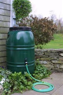 Painted Rain Barrel Forest Green Painted Barrel Forest Green