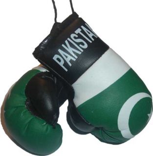 Pakistan New Mini Punch Boxing Gloves Car Mirror Mascot National Flag
