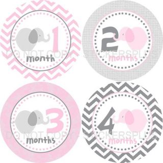 Baby Girl Monthly Growth Age Photo T Shirt Stickers Elephant Gray Pink Chevron