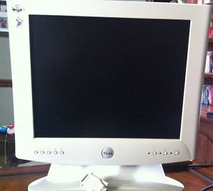Dell Flat Screen Monitor