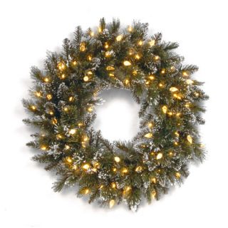 National Tree Co. Glittery Bristle Pine Pre Lit 24 Wreath