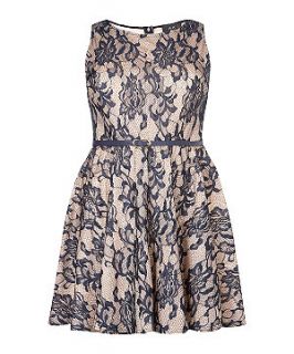 AX Curve Shell Pink and Navy Lace Sleeveless Skater Dress
