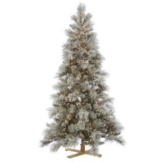 Vickerman 31585   6' x 40" Flocked Norway Pine 200 Clear Miniature Lights Christmas Tree (G135961)