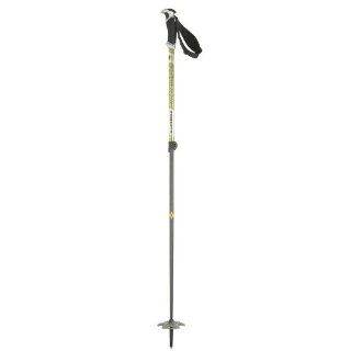 Black Diamond Carbon Probe Pole   Pair Ski poles 100  Alpine Ski Poles  Sports & Outdoors