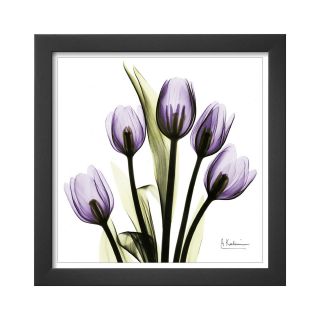 ART Tulips in Purple Framed Print Wall Art