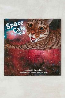 Space Cats 2016 Wall Calendar