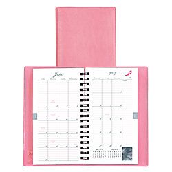 Day Timer 90percent Recycled Pink Ribbon Monthly Planner 3 12 x 6 12  Light Pink December 2012 January 2014