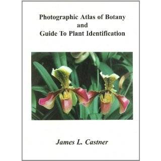   How to Identify Flowering Plant Families John Philip Baumgardt Books