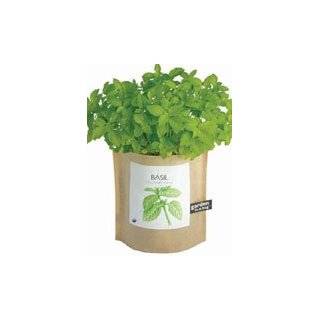 Grow Your Own Dog Grass Garden in a Bag Grocery & Gourmet Food